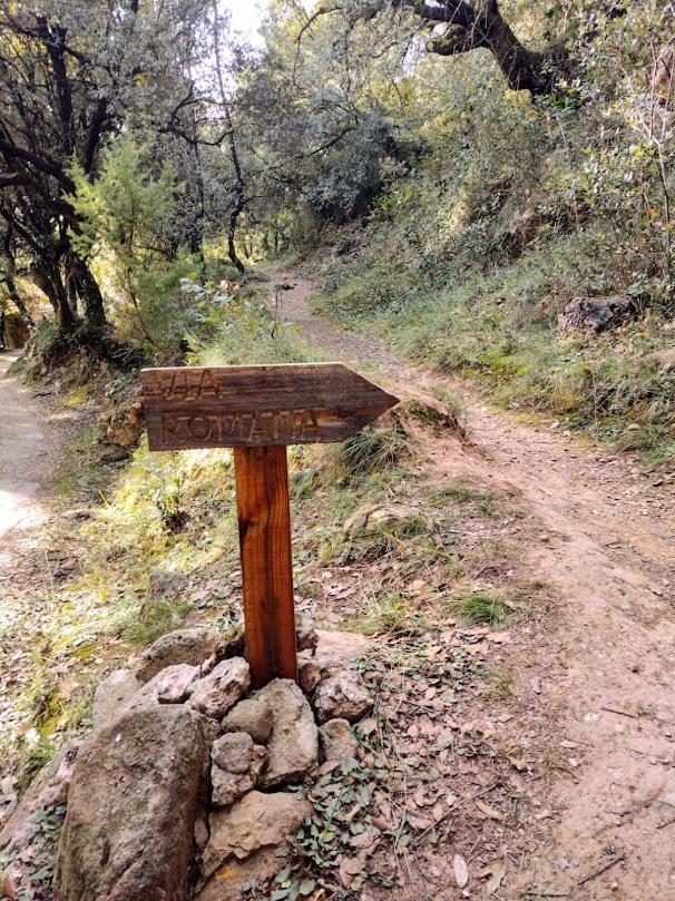 Hostal De Bianya La Vall de Bianya Kültér fotó
